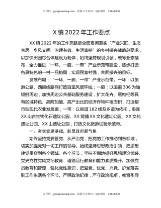 X镇2022年工作要点