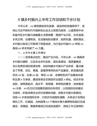 X镇乡村振兴上半年工作总结和下步计划