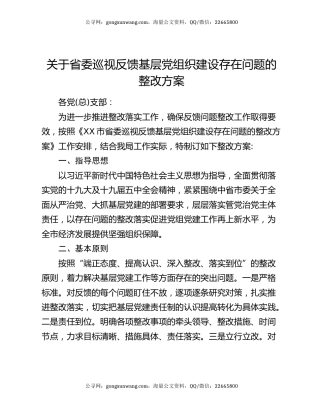 关于省委巡视反馈基层党组织建设存在问题的整改方案