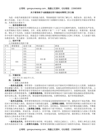 关于领导班子与新提拔任用干部结对帮带工作方案