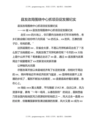 县发改局围绕中心抓项目促发展纪实
