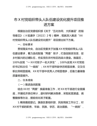 市X村党组织带头人队伍建设优化提升项目推进方案