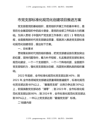 市党支部标准化规范化创建项目推进方案