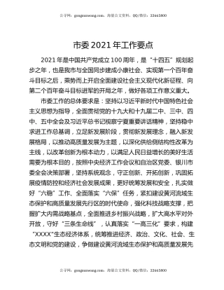 市委2021年工作要点
