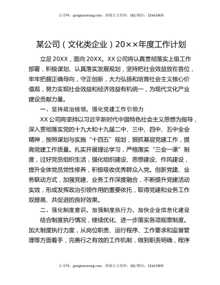 某公司（文化类企业）20××年度工作计划