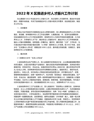 2022年X区推进乡村人才振兴工作计划
