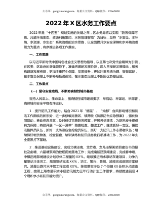2022年X区水务工作要点