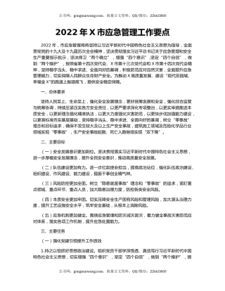 2022年X市应急管理工作要点