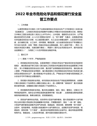 2022年全市危险化学品和烟花爆竹安全监管工作要点