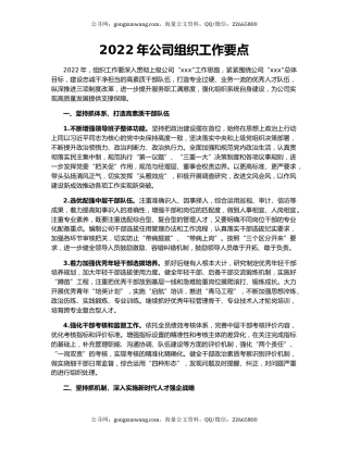 2022年公司组织工作要点