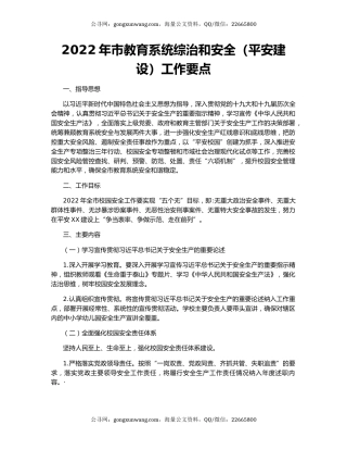 2022年市教育系统综治和安全（平安建设）工作要点