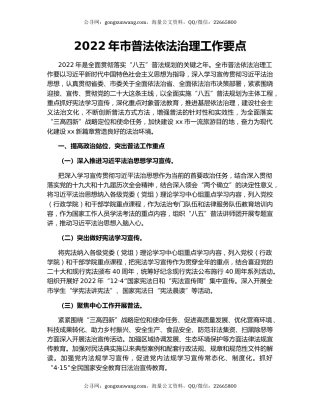 2022年市普法依法治理工作要点