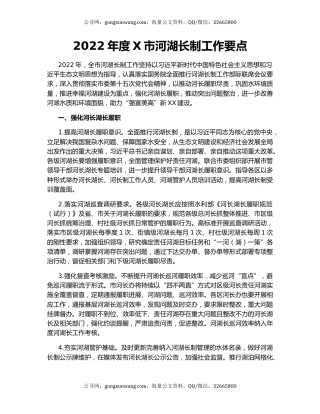 2022年度X市河湖长制工作要点