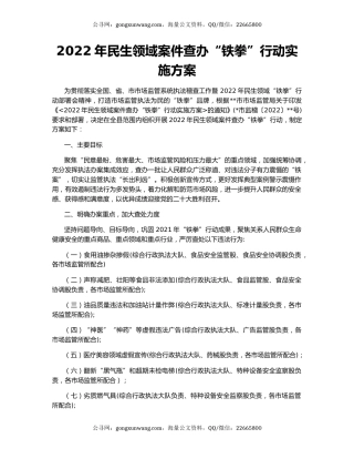 2022年民生领域案件查办“铁拳”行动实施方案（2）
