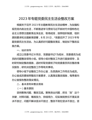 2023年专题党委民主生活会整改方案