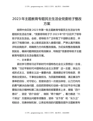 2023年主题教育专题民主生活会党委班子整改方案