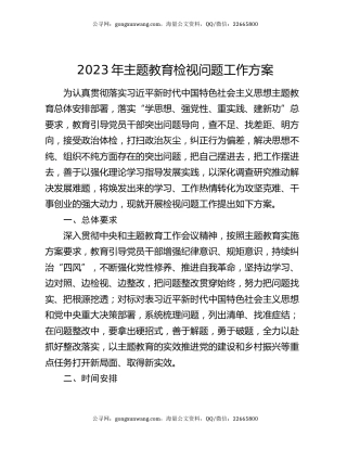 2023年主题教育检视问题工作方案