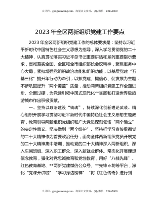 2023年全区两新组织党建工作要点
