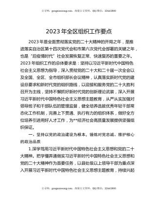 2023年全区组织工作要点