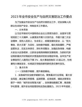 2023年全市安全生产与自然灾害防治工作要点