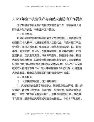 2023年全市安全生产与自然灾害防治工作要点（2）
