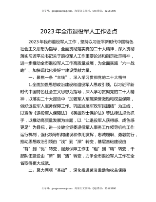 2023年全市退役军人工作要点