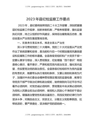 2023年县纪检监察工作要点