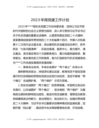 2023年局党建工作计划