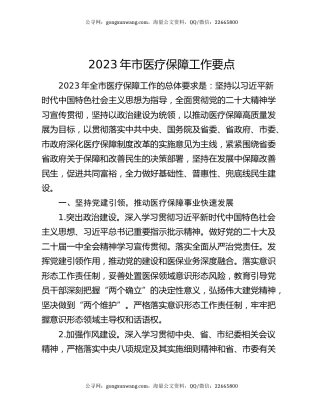 2023年市医疗保障工作要点