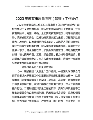 2023年度某市质量强市（管理）工作要点