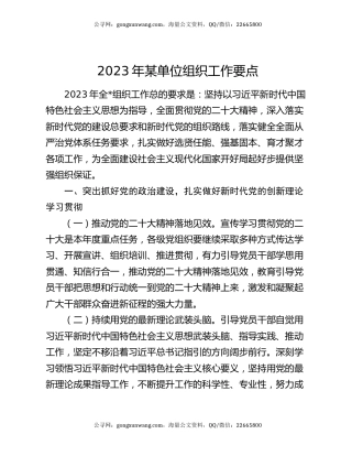 2023年某单位组织工作要点