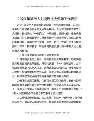 2023年某市人力资源社会保障工作要点