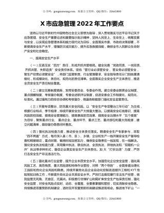 X市应急管理2022年工作要点