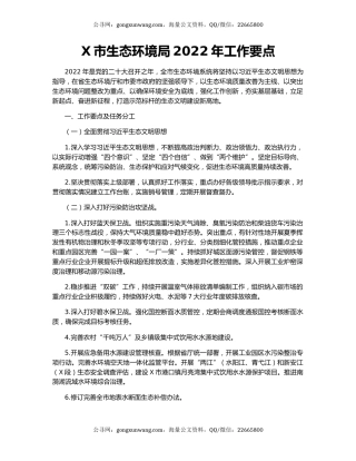 X市生态环境局2022年工作要点