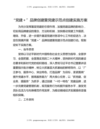 “党建＋”品牌创建暨党建示范点创建实施方案