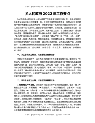 乡人民政府2022年工作要点
