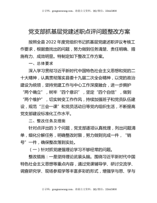 党支部抓基层党建述职点评问题整改方案