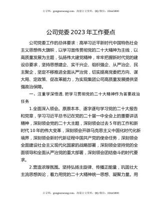 公司党委2023年工作要点