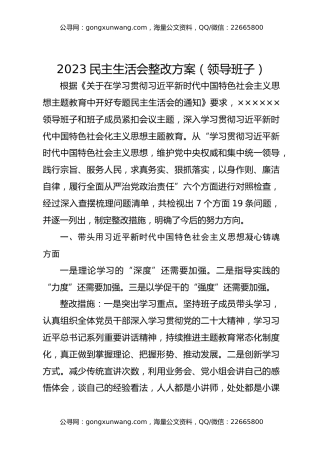2023民主生活会整改方案（领导班子）