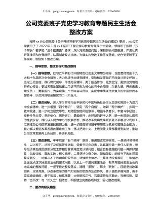 公司党委班子党史学习教育专题民主生活会整改方案