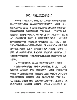 2024局党建工作要点