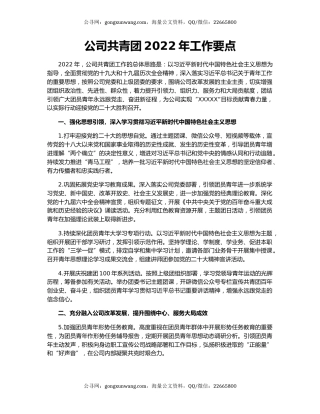 公司共青团2022年工作要点