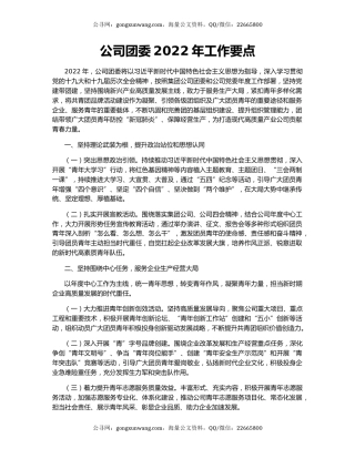 公司团委2022年工作要点