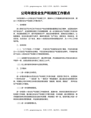 公司年度安全生产和消防工作要点