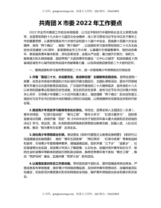 共青团X市委2022年工作要点