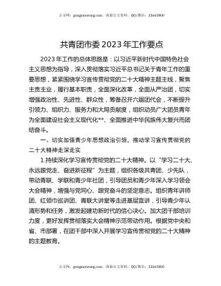 共青团市委2023年工作要点