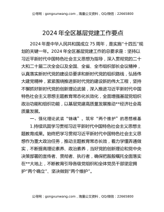 2024年全区基层党建工作要点