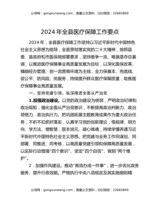 2024年全县医疗保障工作要点