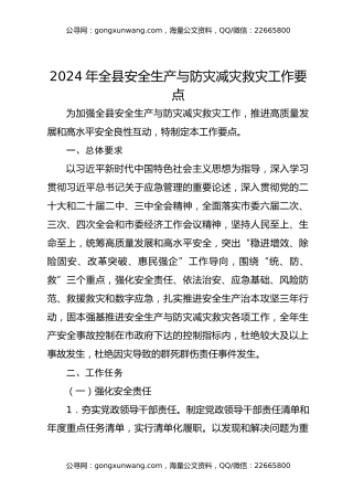 2024年全县安全生产与防灾减灾救灾工作要点