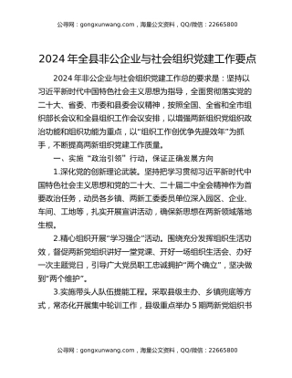 2024年全县非公企业与社会组织党建工作要点